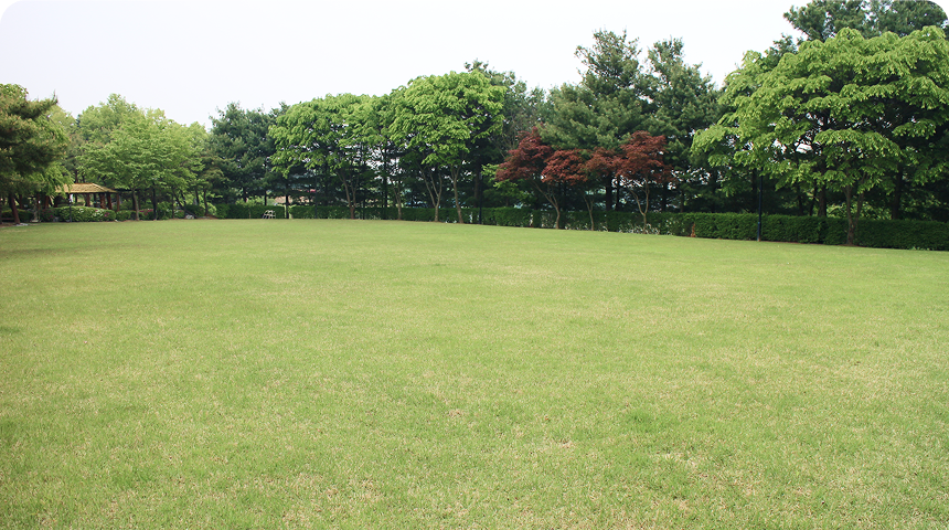 잔디구장1